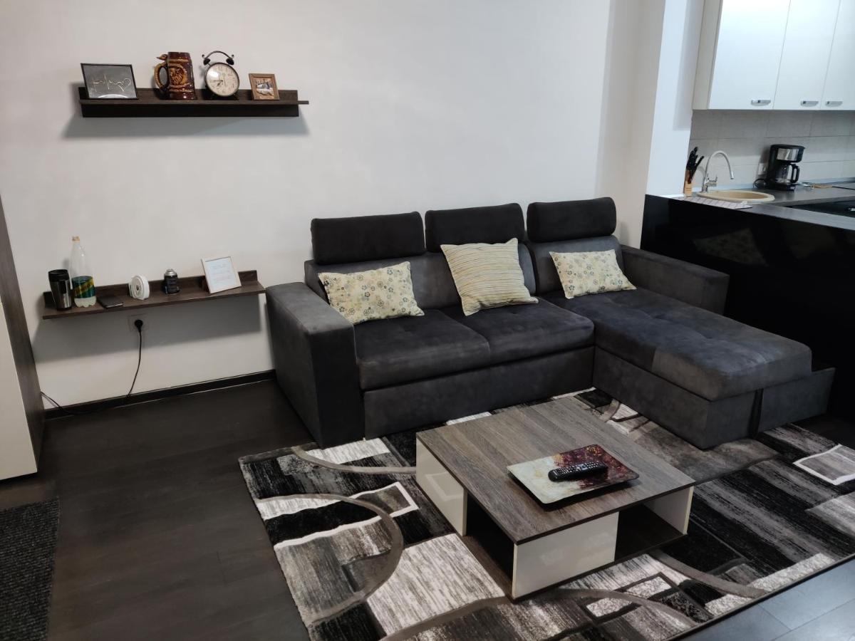Avangarden Apartment 布拉索夫 外观 照片